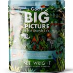 Tommy Nelson God’s Big Picture Bible Stories Kindle – 296, Ages 4-8-0