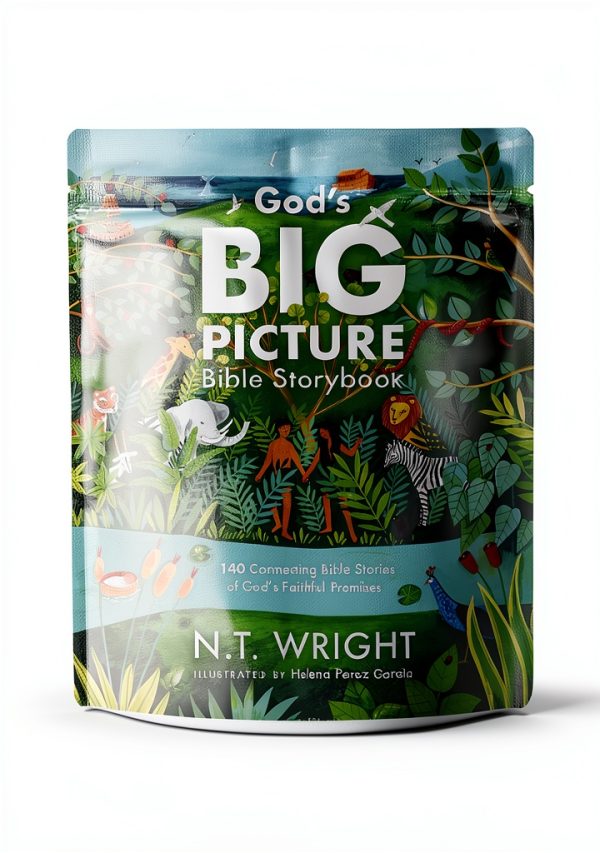 Tommy Nelson God’s Big Picture Bible Stories Kindle – 296, Ages 4-8-0